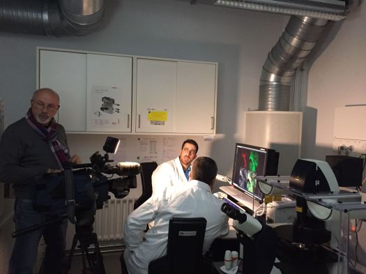 WhatsApp Image 2016-10-21 at 07.03.55