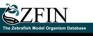 zfin