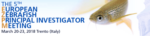 Screenshot 2018-03-16 13.20.43