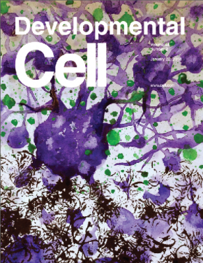 Screen Shot 2018-04-09 at 11.52.22