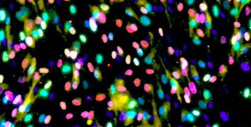 Screen Shot 2019-02-18 at 11.28.47