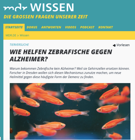 Screen Shot 2019-04-27 at 11.52.16