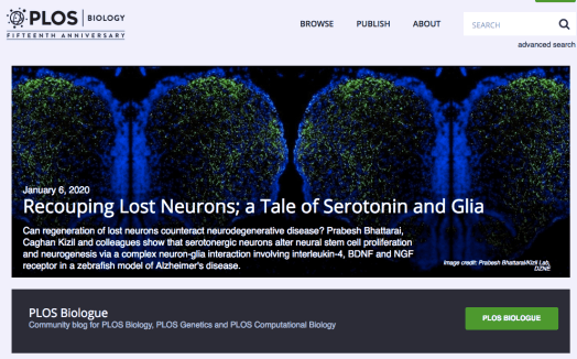 Screen Shot 2020-01-12 at 01.01.11